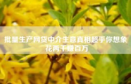 批量生产网贷中介生意真相超乎你想象 花两千赚百万