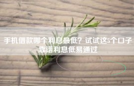 手机借款哪个利息最低？试试这5个口子靠谱利息低易通过