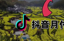 抖音月付开通条件解析：如何满足申请条件？