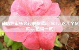 征信烂审核必过的贷款app2022，这几个贷款app值得一试！