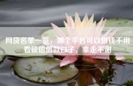 网贷名单一览，哪个平台可以借钱不用看征信借款口子，拿走不谢