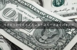 网贷欠了20万还不上怎么办？这几个办法可以帮到你