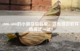1000-5000的小额贷款名单，这些借款软件值得试一试！