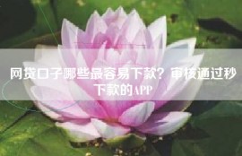 网贷口子哪些最容易下款？审核通过秒下款的APP