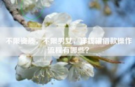 不限资质，不限男女，洋钱罐借款操作流程有哪些？