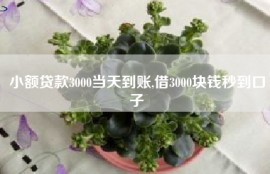 小额贷款3000当天到账,借3000块钱秒到口子