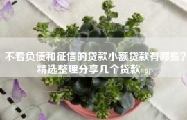 不看负债和征信的贷款小额贷款有哪些？精选整理分享几个贷款app