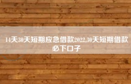 14天30天短期应急借款2022,30天短期借款必下口子