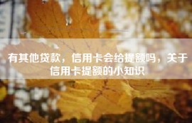 有其他贷款，信用卡会给提额吗，关于信用卡提额的小知识