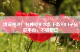精选整理！各种秒拒求能下款的口子贷款平台，不容错过