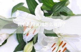 购物退税流程怎么操作？