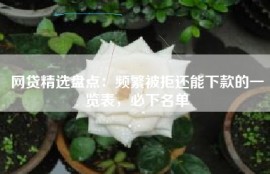 网贷精选盘点：频繁被拒还能下款的一览表，必下名单
