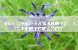 借钱平台不看征信容易通过的平台，几个不审核正在放水的口子