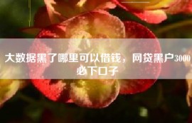 大数据黑了哪里可以借钱，网贷黑户3000必下口子