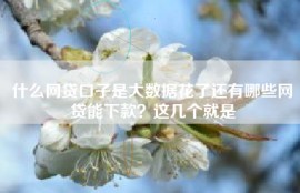 什么网贷口子是大数据花了还有哪些网贷能下款？这几个就是