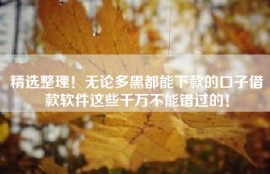 精选整理！无论多黑都能下款的口子借款软件这些千万不能错过的！