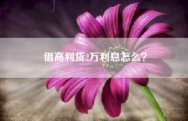 借高利贷2万利息怎么？