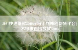 2021快速借款3000元马上到账的网贷平台(不审核直接放款5000)