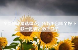 全网整理精选盘点：贷款平台哪个好下款一览表，必下口子