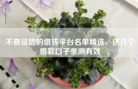 不查征信的借钱平台名单精选，这几个借款口子亲测有效