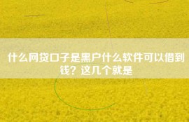 什么网贷口子是黑户什么软件可以借到钱？这几个就是