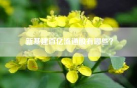 新基建百亿流通股有哪些？