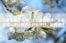 只要芝麻分600分以上，全国进件，不看资质，不认资产，秒批秒过，超高通过率