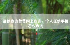 征信查询免费网上查询，个人征信手机怎么查询