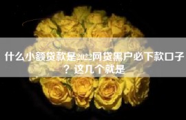 什么小额贷款是2022网贷黑户必下款口子？这几个就是