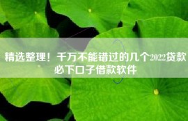 精选整理！千万不能错过的几个2022贷款必下口子借款软件