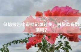 征信报告中审批记录过多，对贷款有影响吗？