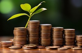 哪里可以快速借到1000元？分享五个能快速借1000的小贷