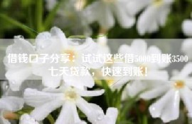 借钱口子分享：试试这些借5000到账3500七天贷款，快速到账！