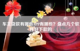 车主贷款有哪些APP有哪些？盘点几个软件好下款的