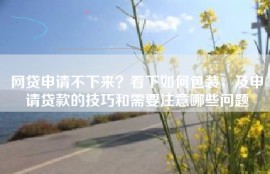 网贷申请不下来？看下如何包装，及申请贷款的技巧和需要注意哪些问题
