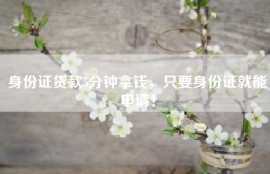 身份证贷款5分钟拿钱，只要身份证就能申请！