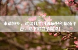 申请被拒，试试几个口碑最好的借贷平台，必下款口子盘点！