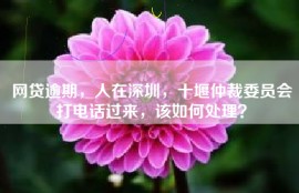 网贷逾期，人在深圳，十堰仲裁委员会打电话过来，该如何处理？