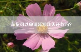 车贷可以申请延期几天还款吗？
