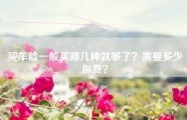 买车险一般买哪几种就够了？需要多少保费？