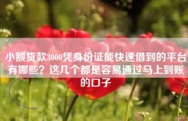 小额贷款3000凭身份证能快速借到的平台有哪些？这几个都是容易通过马上到账的口子