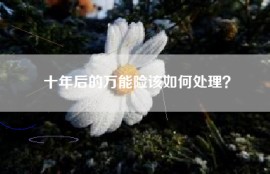 十年后的万能险该如何处理？