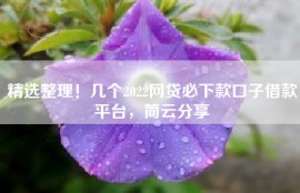 精选整理！几个2022网贷必下款口子借款平台，简云分享