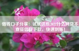 借钱口子分享：试试这些2022什么网贷不查征信好下款，快速到账！