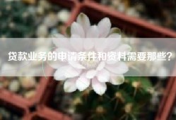 贷款业务的申请条件和资料需要那些？
