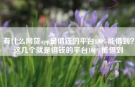 有什么网贷app是借钱的平台100%能借到？这几个就是借钱的平台100%能借到