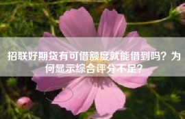 招联好期贷有可借额度就能借到吗？为何显示综合评分不足？