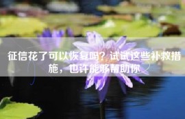 征信花了可以恢复吗？试试这些补救措施，也许能够帮助你