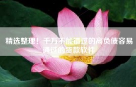 精选整理！千万不能错过的高负债容易通过的贷款软件
