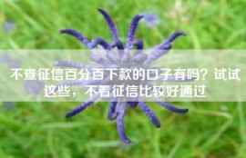 不查征信百分百下款的口子有吗？试试这些，不看征信比较好通过